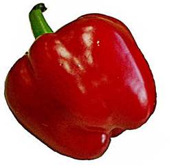 rote Paprika - Foto - Paprika, rot, Frucht, Gemüse