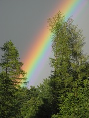 Regenbogen - Regenbogen, Wetterphänomen, Regen, Spektralfarben, Farbe, Optik, Brechung, Lichtbrechung, Reflexion, Wetter, Farbzerlegung, Wettererscheinung
