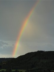 Regenbogen - Regenbogen, Wettererscheinung, nach Regen und Gewitter, Spektralfarben, Spiegelung