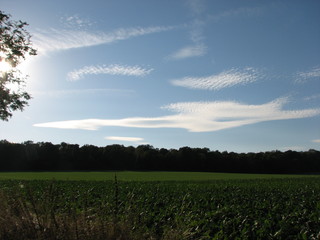 Wolkenformation - Wolke, Wolken, Wetter, Sonne, blauer Himmel, Himmel, Meditation, heiter, sonnig