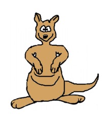 Känguru - Känguru, Känguruh, Kangaroo, Wallaby, Beuteltier, Säugetier, Tier, Wildes Tier, Australien