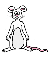 Maus - Maus, mouse, Nager, Nagetier, Tier, Haustier, Zeichnung, Cartoon, Comic, bunt