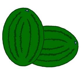 zwei Melonen - Melone, Melonen, Anlaut M, Wassermelone, Frucht, Anlaut M, Plural, Mehrzahl, zwei, grün