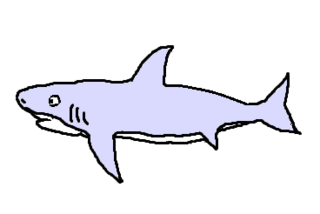Hai - Hai, Haifisch, weißer Hai, shark, Fisch, Aquarium, Meer, Zeichnung, Clipart, Anlaut H, Wörter mit ai