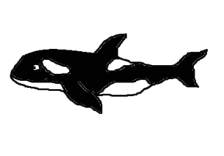 Wal - Orca - Wal, Walfisch, Orka, Orca, Schwertwal, Killerwal, Fisch, Meer, Zeichnung, Clipart