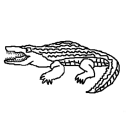 Krokodil - Krokodil, crocodile, Alligator, Kaiman, Reptil, Afrika, Amazonas, Zeichnung, Clipart