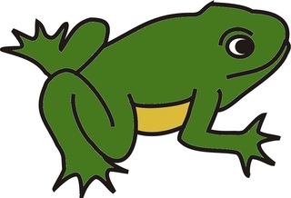 Frosch - Frosch, Kröte, Teich, schwimmen, Anlaut F, Wörter mit sch