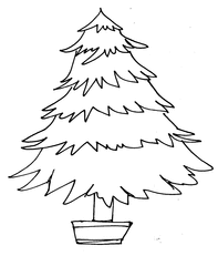 Weihnachtsbaum 1 - Weihnachtsbaum, Weihnachten, Advent, Christmas, Christmas tree, Tanne, Fichte, Nadelbaum, Wörter mit au