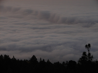 Blick auf die Wolken über La Oratova, Teneriffa 2 - Teneriffa, Nebel, Wolken, Abendstimmung, Silhouette, Abend, Wolkenmeer
