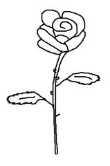 Rose #1 - Rose, Blume, Blüte, Dornen, Illustration, Anlaut R, Zeichnung, Liebe, Love, verliebt, Glück, Gefühl, Symbol