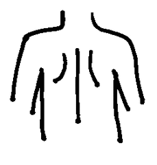 Rücken - Rücken, Körper, Körperteile, body, body parts, back, Wirbelsäule, Wörter mit ck