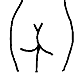 Po - Po, Hintern, Körper, Körperteile, body, body parts, bottom, bum, buttocks, Popo, Gesäß