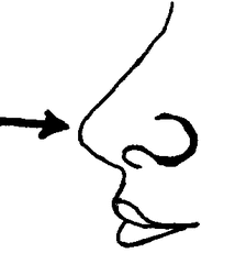 Nase#1 - Nase, Körper, Körperteile, body, body parts, nose, Geruchsinn, Sinnesorgan, Luft, Atmen, Atmung