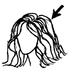 Haare 2 - Haare, Kopf, Körper, Körperteile, body, body parts, head, hair, Perücke