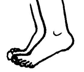 Füße 2 - Füße, Fuß, Bein, Körper, Körperteile, body, body parts, foot, feet, leg, Wörter mit ß, Wörter mit ü