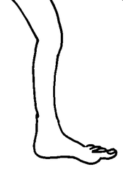 Bein 1 - Bein, Körper, Körperteile, body, body parts, leg