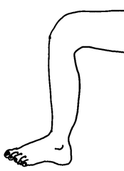 Bein 2 - Bein, Körper, Körperteile, body, body parts, leg