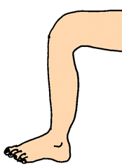 Bein 2 - Bein, Körper, Körperteile, body, body parts, leg