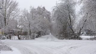 Wegkreuzung in Winterlandschaft - Winter, Winterlandschaft, Weg, Kreuzung, Schnee, Stille, Meditation, Beschreibung