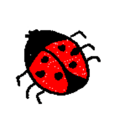 Marienkäfer - Marienkäfer, rot, schwarz, Tier, Insekt, Käfer, Anlaut K, Anlaut M, Glück, Symbol
