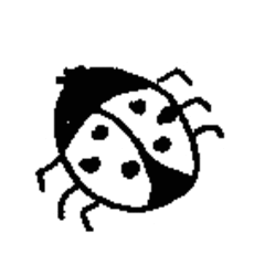 Marienkäfer - Marienkäfer, rot, schwarz, Tier, Insekt, Käfer, Anlaut K, Anlaut M, Glück, Symbol