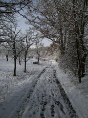 Verschneiter Waldweg #3 - Wald, Waldweg, Weg, Pfad, Winter, Schnee, verschneit, unbelaubt, romantisch, einsam, Laubbäume