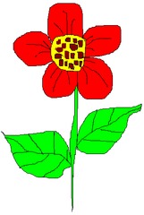 Blume 1 - Blume, Garten, Pflanze, Blüte, Blätter, Farbe, Rot, Sommer