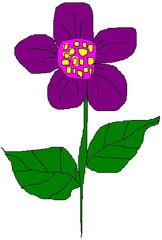 Blume 3 - Blume, Garten, Pflanze, Blüte, Blätter, Farbe, Sommer, Violett, Lila