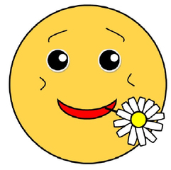 Smiley #31 mit Blümchen - Smiley, Zeichen, Zeichnung, Illustration, Button, Bewertung, Symbol, Emotion, Gefühl, froh, verliebt, Blümchen, Gänseblümchen, Freude