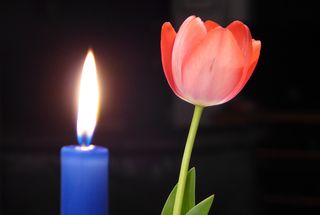 Tulpe und Kerze - Tulpe, Kerze, Meditation, Stimmung, Schreibanlass, Licht