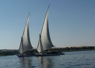 Felukenfahrt auf dem Nil - Feluke, Felucke, Boot, Segelboot, Nil, Luxor, Ägypten, segeln