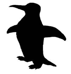 Pinguin - Umrissbild - Pinguin, Umriss, schwarz, Anlaut p, Vogel