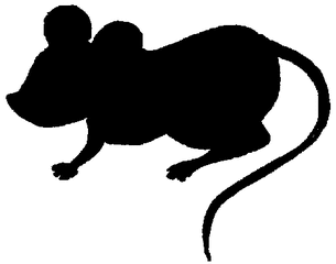 Maus - Umrissbild - Maus, Tier, Umriss, Vorlage, schwarz, Säugetier, Nager, Nagetier
