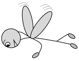 Verb: fliegen / fly - Verb, Illustration, Zeichnung, fliegen, fly, clipart, Bildkarte