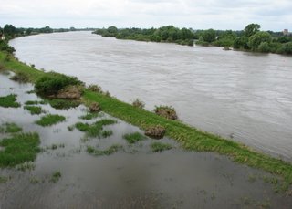 Hochwasser der Elbe #1 - Hochwasser, Deich, Überflutung, Überschwemmung, Elbe