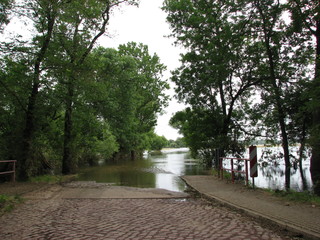 Hochwasser der Elbe #2 - Hochwasser, Überflutung, Überschwemmung, Elbe