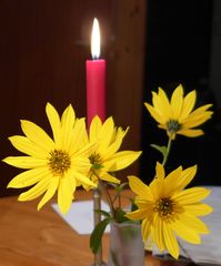 Kerze - Kerze, Blume, Licht, Kerzenschein, Meditation, Schreibanlass