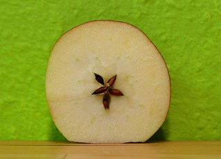 Apfel #4 - Apfel, Kerngehäuse, Obst, Kernobst, Ernährung, ernähren, essen