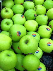 Äpfel Golden Delicious - Apfel, Äpfel, Golden Delicious, Köstlicher, Tafelobst, Obst, Frucht, Kulturapfel