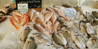 Poissons - Frankreich, civilisation, poisson, Fisch, Stand, Dorade