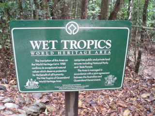 Wet Tropics UNESCO - UNESCO, Regenwald, Urwald, Australien, Weltnaturerbe
