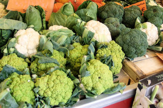 verschiedene Kohlsorten - Spitzkohl, Blumenkohl, Broccoli, Brokkoli, Gemüse