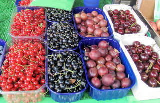 Verschiedene Obstsorten #2 - Johannisbeeren, rot, schwarz, Stachelbeeren Kirschen, Schale, Schälchen, Markt, Verkauf, Obst, Früchte