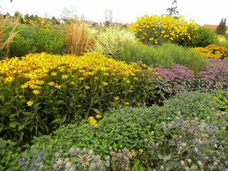 Staudenbeet#6 - Sommer, Blume, Blumen, Sommerblumen, Kunst, Farbenlehre, Gartenanlage, Beet, Blumenbeet