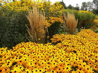 Staudenbeet#4 - Sommer, Blume, Blumen, Sommerblumen, Kunst, Farbenlehre, Gartenanlage, Beet, Blumenbeet