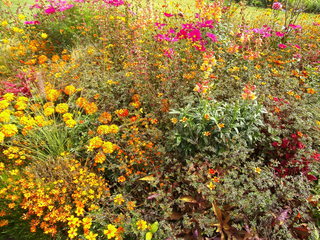 Staudenbeet#3 - Sommer, Blume, Blumen, Sommerblumen, Kunst, Farbenlehre, Gartenanlage, Beet, Blumenbeet