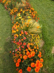 Staudenbeet#2 - Sommer, Blume, Blumen, Sommerblumen, Kunst, Farbenlehre, Gartenanlage, Beet, Blumenbeet