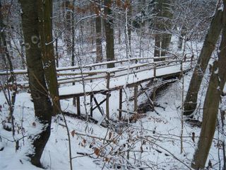 Verschneite Brücke - Brücke, Holzbrücke, verschneit, Winter, Weg, Waldweg