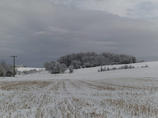 Winterlandschaft - Schnee, Winter, Schneelandschaft, Schneefeld, verschneit, Stille, Wetter, Stoppelfeld