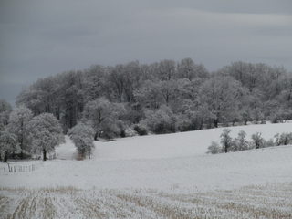 Winterlandschaft - Schnee, Winter, Schneelandschaft, Schneefeld, verschneit, Stille, Wetter